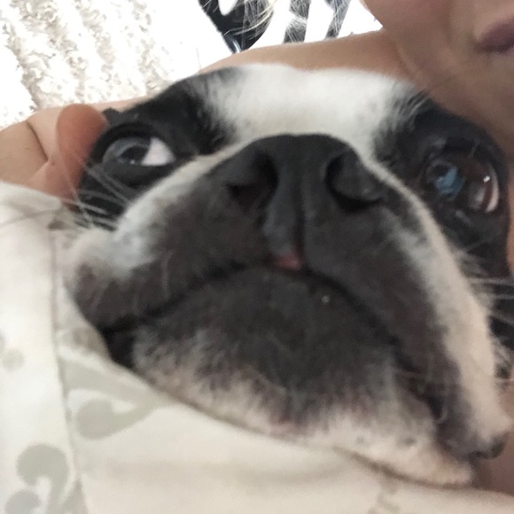 Meet your Posher, Katy - Picture 8 of 8